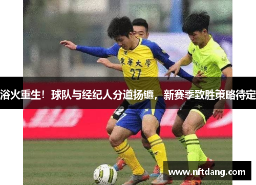 浴火重生！球队与经纪人分道扬镳，新赛季致胜策略待定